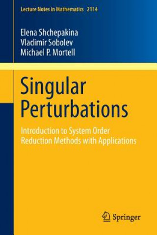 Buch Singular Perturbations Elena Shchepakina