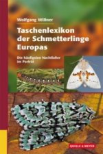 Carte Taschenlexikon der Schmetterlinge Europas, Die häufigsten Nachtfalter im Porträt Wolfgang Willner