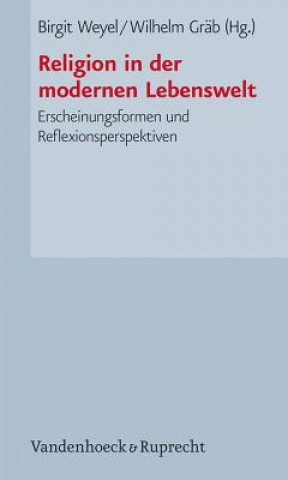 Kniha Religion in der modernen Lebenswelt Birgit Weyel