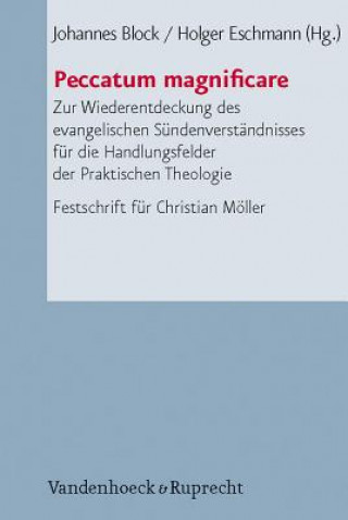 Buch Peccatum Magnificare Johannes Block
