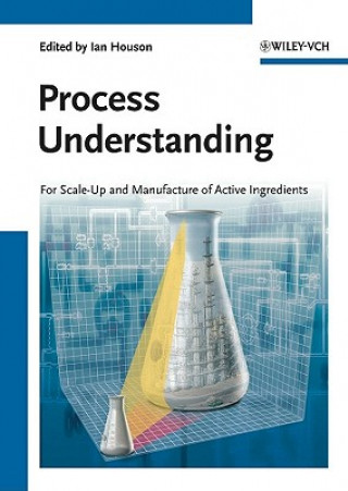 Książka Process Understanding For Scale-Up and Manufacture  of Active Ingredients Ian Houson
