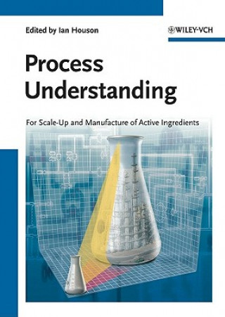 Kniha Process Understanding For Scale-Up and Manufacture  of Active Ingredients Ian Houson