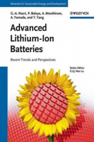 Livre Advanced Lithium-Ion Batteries 