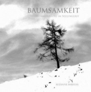 Buch Baumsamkeit Suzanne Barfuss