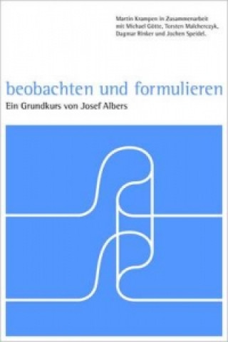 Video Observation and Formulation ZKM