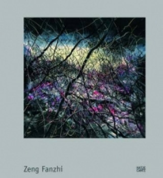 Book Zeng Fanzhi Fabien Fryns