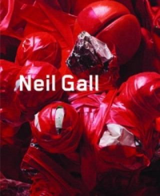 Knjiga Neil Gall: Works 2007-2011 Nicholas Cullinan