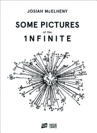 Book Josiah McElhenySome Pictures of the Infinite Helen Molesworth