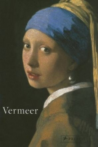 Książka Vermeer Christopher Wynne