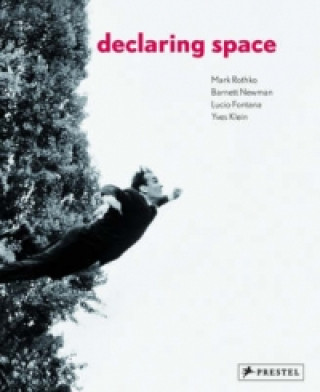 Kniha Declaring Space 