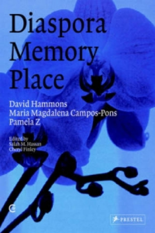 Book David Hammons, Maria Magdalena Campos-pons, Pamela Z 