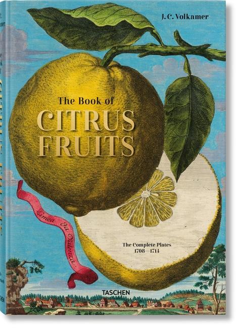 Könyv J. C. Volkamer. Citrus Fruits Iris Lauterbach