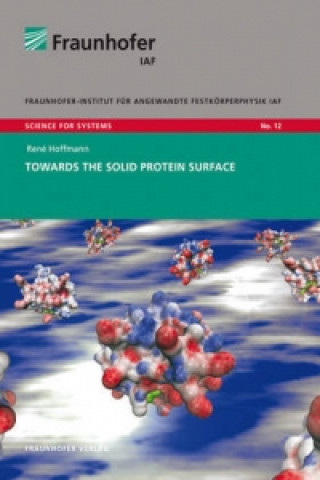 Книга Towards the solid protein surface Rene Hoffmann