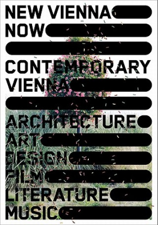 Könyv New Vienna Now / Contemporary Vienna Christoph Thun-Hohenstein