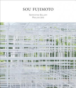 Kniha Sou Fujimoto Niklas Maak