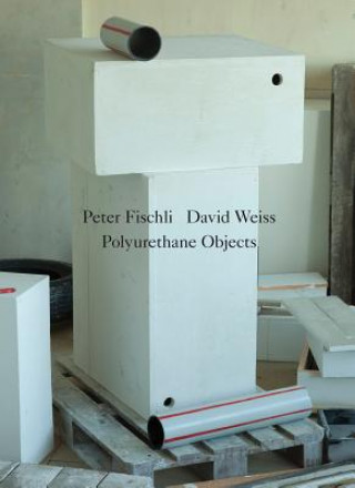 Kniha Peter Fischli / David Weiss 