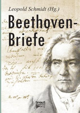 Book Beethoven-Briefe Leopold Schmidt