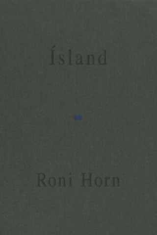 Kniha Roni Horn Roni Horn