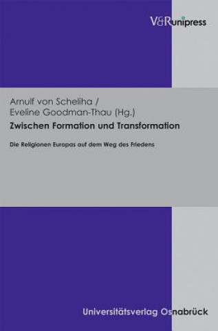 Knjiga Zwischen Formation Und Transformation Arnulf von Scheliha