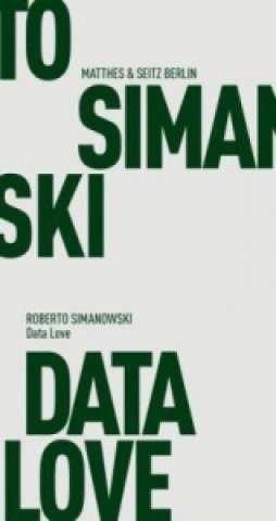 Könyv Data Love Roberto Simanowski