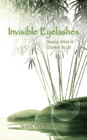 Kniha Invisible Eyelashes Nikkyo Niwano