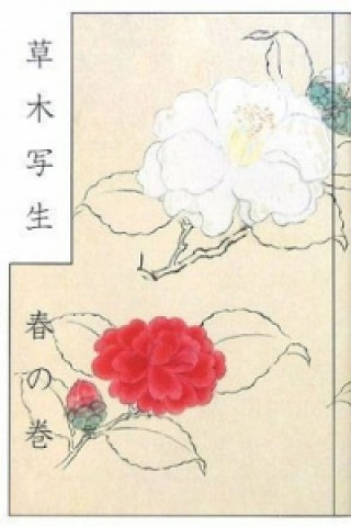 Könyv Japanese Botanist's 17th Century Sketchbook Kanoh Shigetaka