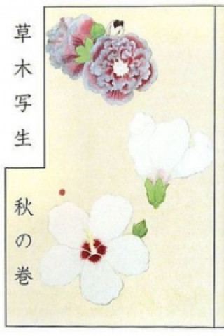Könyv Japanese Botanist's 17th Century Sketchbook Kanoh Shigetaka
