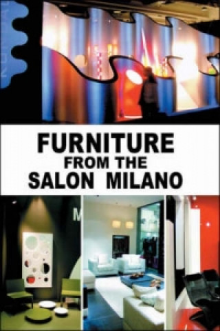 Könyv Furniture from the Salon Milano Lu Jican