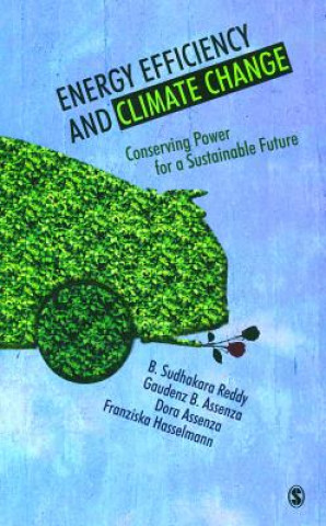 Knjiga Energy Efficiency and Climate Change B. Sudhakara Reddy