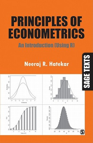 Kniha Principles of Econometrics Neeraj R. Hatekar