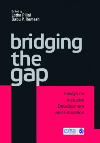 Kniha Bridging The Gap 