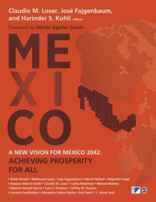 Boek New Vision for Mexico 2042 Claudio Loser