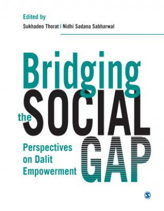 Book Bridging the Social Gap 