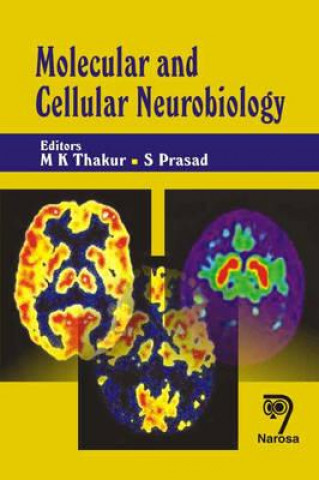 Kniha Molecular and Cellular Neurobiology 