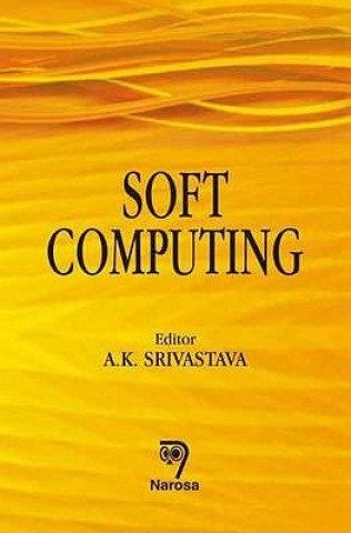 Knjiga Soft Computing 