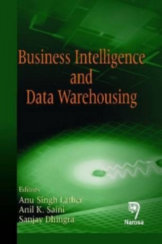 Kniha Business Intelligence and Data Warehousing 