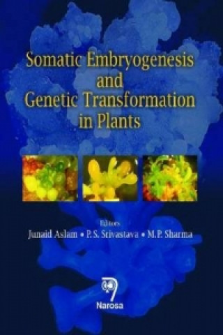 Kniha Somatic Embryogenesis and Genetic Transformation in Plants Junaid Aslam