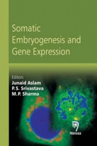 Kniha Somatic Embryogenesis and Gene Expression 