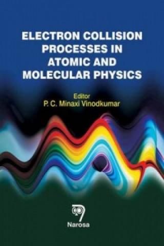 Knjiga Electron Collision Processes in Atomic and Molecular Physics 