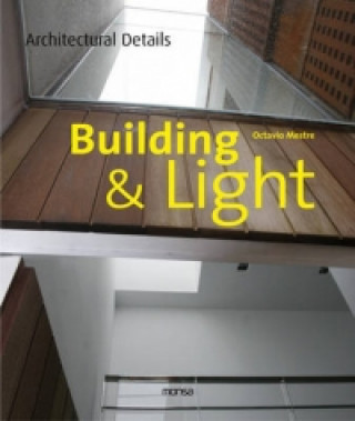 Könyv Building & Light Octavio Mestre