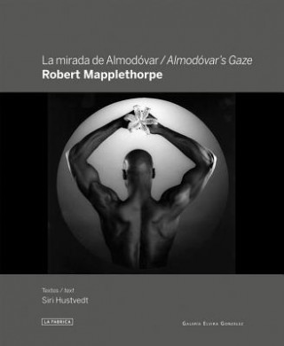 Livre Almodovar's Gaze: Robert Mapplethorpe Siri Hustvedt