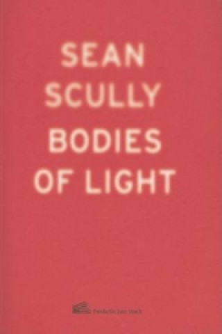 Libro Sean Scully Sean Scully