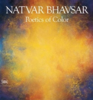 Libro Natvar Bhavsar Marius Kwint