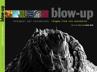 Книга Blow Up Lucia Covi