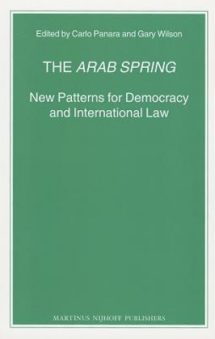 Buch The Arab Spring Carlo Panara