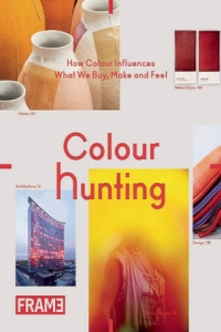 Kniha Colour Hunting Jeanne Tan