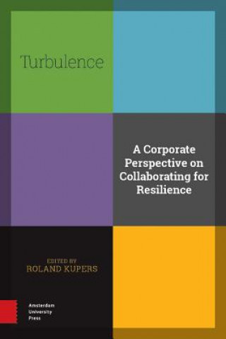 Kniha Turbulence Roland Kupers