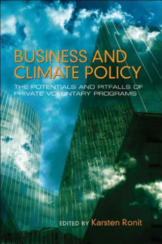 Kniha Business and climate policy United Nations University