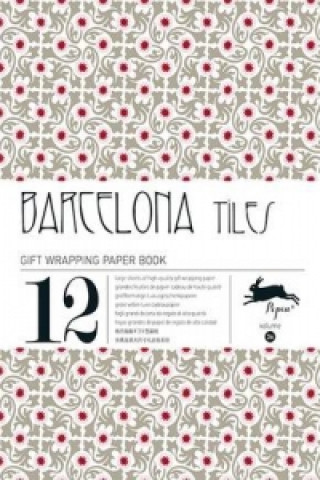 Kniha Barcelona Tiles Pepin van Roojen