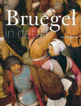 Kniha Bruegel in Detail Manfred Sellink